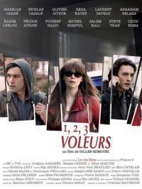 1, 2, 3, voleurs (2011)