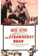 The Strawberry Roan