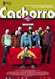 Cachorro