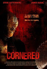 Cornered! (2009)