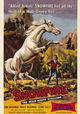 Snowfire