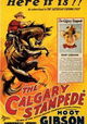 The Calgary Stampede