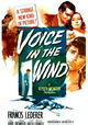 Voice in the Wind