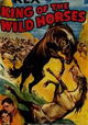 King of the Wild Horses