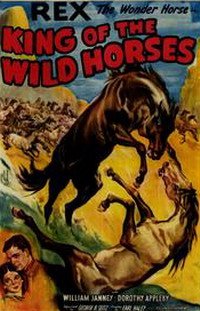 King of the Wild Horses (1933)