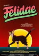 Felidae