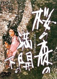 Under the Blossoming Cherry Trees