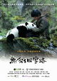 Trail of the Panda