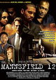 The Mannsfield 12