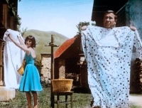 Übermut im Salzkammergut (1963)