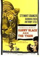 Harry Black