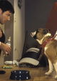 Hunde haben kurze Beine