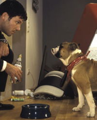 Hunde haben kurze Beine (2006)