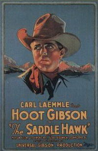 The Saddle Hawk (1925)