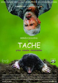 Tache (2007)