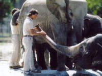 Zoo (1993)