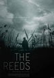 The Reeds