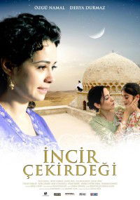 Incir çekirdegi (2009)