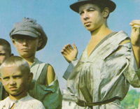 Codine (1963)
