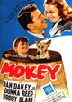 Mokey