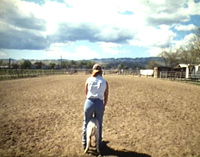 El Valley Centro (2000)