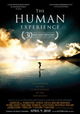 The Human Experience