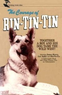 The Challenge of Rin Tin Tin
