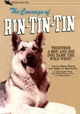 The Challenge of Rin Tin Tin