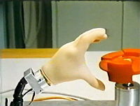 Wie man sieht (1986)