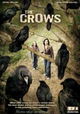 Les corbeaux