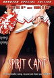 Spirit Camp