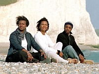Motherland: A Genetic Journey (2003)
