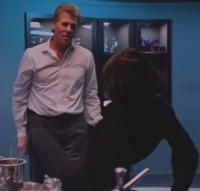 In the Heat of Passion II: Unfaithful (1994)