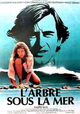 L'arbre sous la mer
