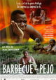 Barbecue-Pejo
