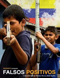 Falsos positivos (2009)
