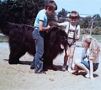 Der Junge mit dem großen schwarzen Hund (1986)