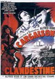 Cargaison clandestine
