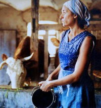 Verlorenes Land (2002)