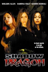Shadow Dragon (2005)