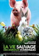 La vie sauvage des animaux domestiques