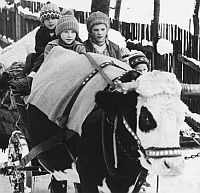 Lukás (1982)