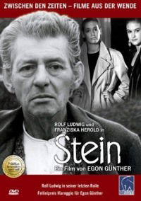 Stein (1990)