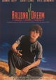 Arizona Dream