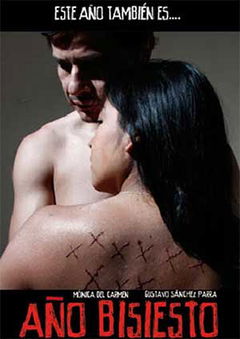 Año bisiesto (2010)