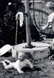 Kapitan Korda