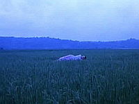 Hesus, rebolusyunaryo (2002)