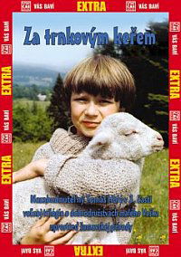 Za trnkovym kerem (1980)