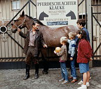 Jeder träumt von einem Pferd (1987)