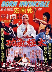 Tai ji yuan gong (1978)